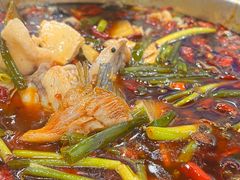 -乡土特色.冷锅鱼.牦牛肉汤锅