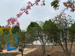 -百万葵园