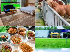 -蓝地时尚庄园(北京清河营地铁站店)