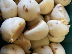 -千裡酥面包生日蛋糕(中学巷店)