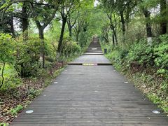 -江南天池