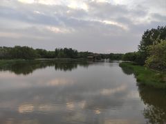 -大兴滨河森林公园