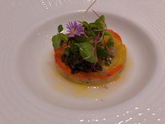 -蝶舍·MAISON PAPILLON