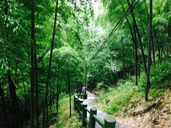 -藏龙百瀑风景区