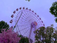 -东湖生态旅游风景区
