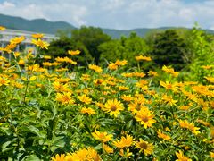 -北京植物园-展览温室