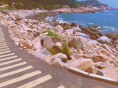 -广东惠东海龟国家级自然保护区