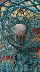 -奈尔宝家庭中心·亲子餐厅(鄞州万达店)