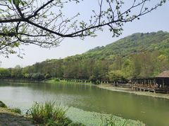 -八卦田遗址公园