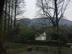 -法云安缦酒店