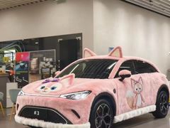 -上海浦东smart汽车全功能店(金桥店)