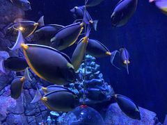 -成都浩海立方海洋公园