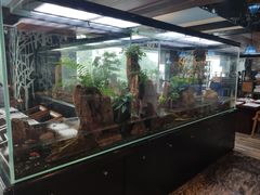 -泰谷酒店·太古码头闽菜自助餐厅