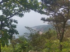-燕窝岭