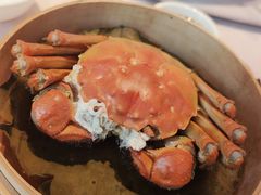 -子福慧(虹桥店)