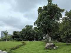 -聚龙湖公园