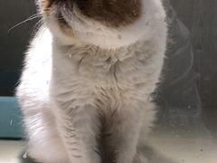 -乐宠宠物店(世纪金源店)