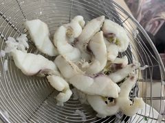 鱼腩-源港渔村-中山脆肉鲩(博罗店)