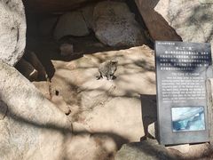 -崂山巨峰游览区