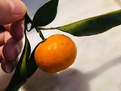 自助水果-小菜园新徽菜(合肥之心城店)
