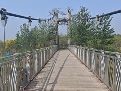 -西青郊野公园