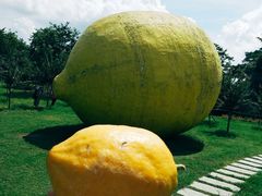 -顺峰山公园