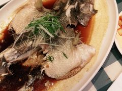 -紫光园·烤鸭·北京菜(劲松店)