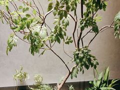 -百富源·海鲜辽菜(张士店)