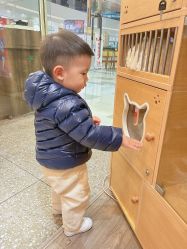 -Bonpoint(比斯特上海购物村店)