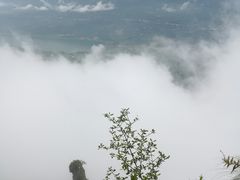 -蝶舞清江·恩施云顶景区(黄鹤峰林)