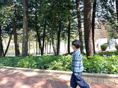 -深圳龙潭公园