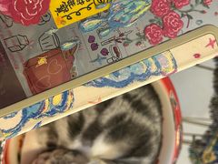 -平行世界·猫咖(首经贸店)