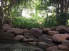 -三亚珠江南田温泉度假区