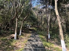 -杭州半山国家森林公园