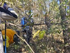 -北京西山国家森林公园