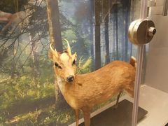 -下渚湖国家湿地公园科普馆