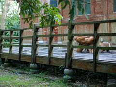 -福建鲤鱼洲酒店