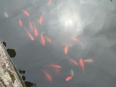 -宁波市保国寺古建筑博物馆