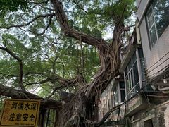 -小洲村