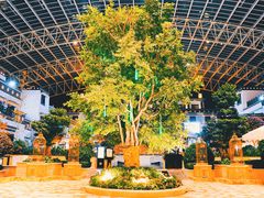 -拉萨圣地天堂洲际大饭店-自助餐厅
