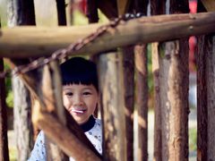 -合肥滨湖国家森林公园