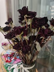 -康颜SPA自然疗愈皮肤管理中心