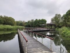 -同里国家湿地公园