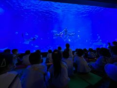 -烟台海昌鲸鲨海洋公园