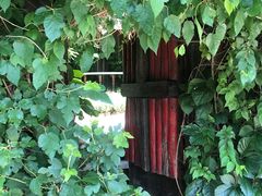 -斯多格书乡(北京大学畅春园店)