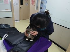 -格蕾宠物医院24H·猫科·肿瘤科·骨科中心(福州总院)
