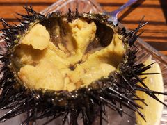 黄金海胆-蚝堡海鲜·威海菜·海肠捞饭·烧烤·亚洲吃蚝公司(幸福门店)