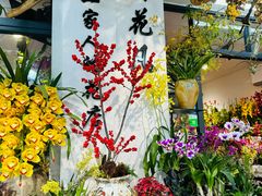 -溪岸路花鸟市场