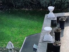 -老洋房花园饭店(绍兴路店)