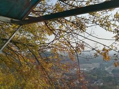 -上海佘山国家森林公园西佘山园